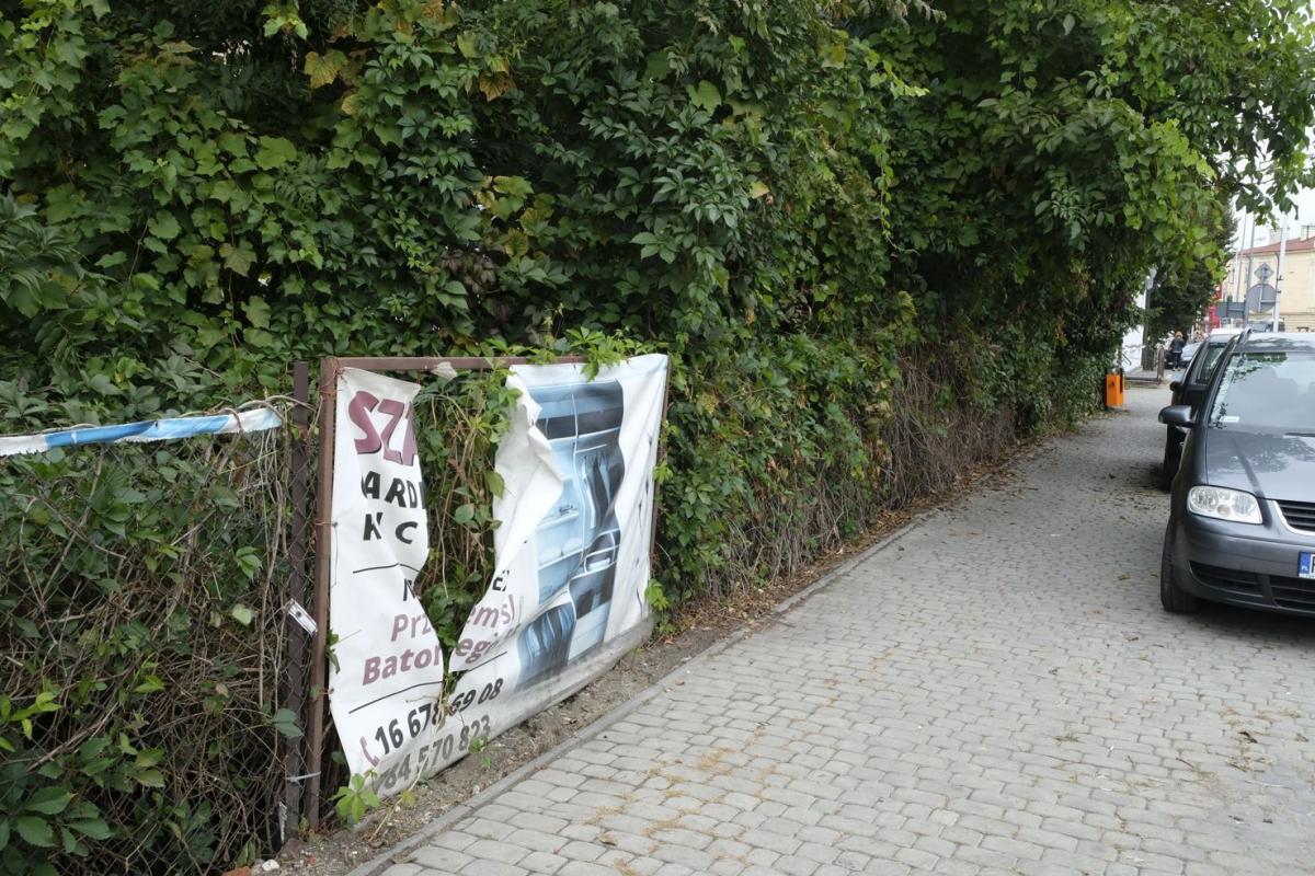 Okiem czepialskiego: Krzaki poprzerastały już stare ogrodzenie