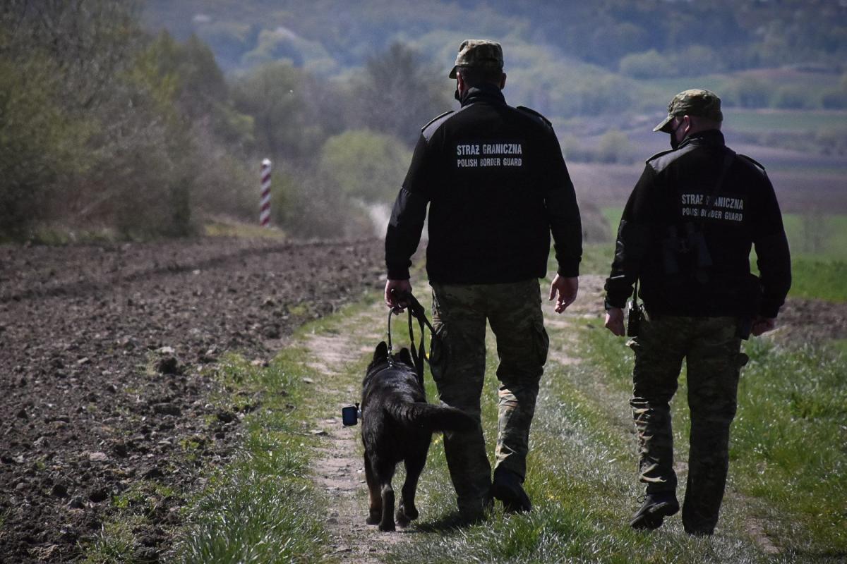 3 grupy imigrantów z Afryki zatrzymane w ciągu jednego dnia