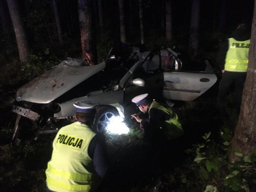 Rozbił renaulta na drzewie. Kierowca i pasażer trafili do szpitala [ZDJĘCIA]
