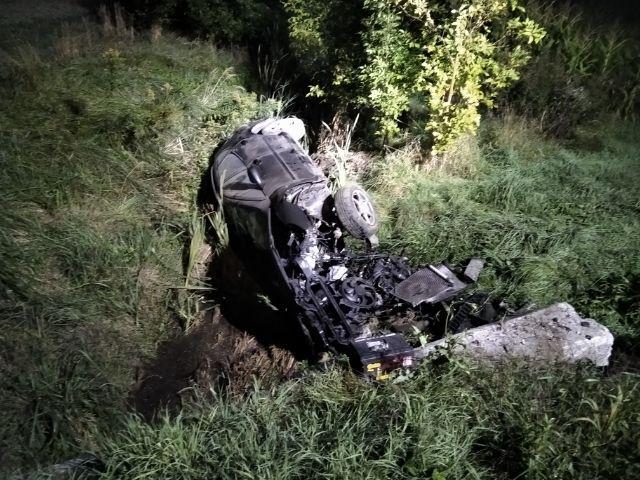 Odbił na pobocze, ponieważ wybiegła sarna. Auto dachowało