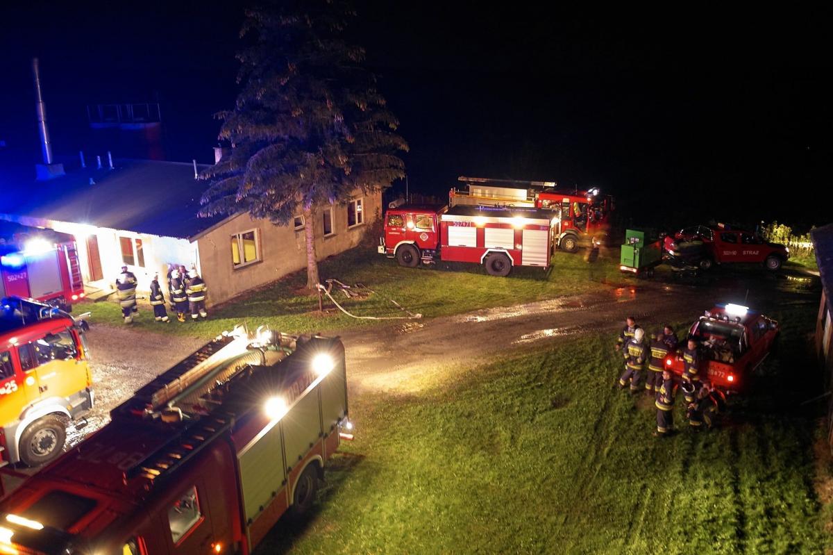 Pożar na fermie. Zginęło 7 tysięcy indyków [ZDJĘCIA]