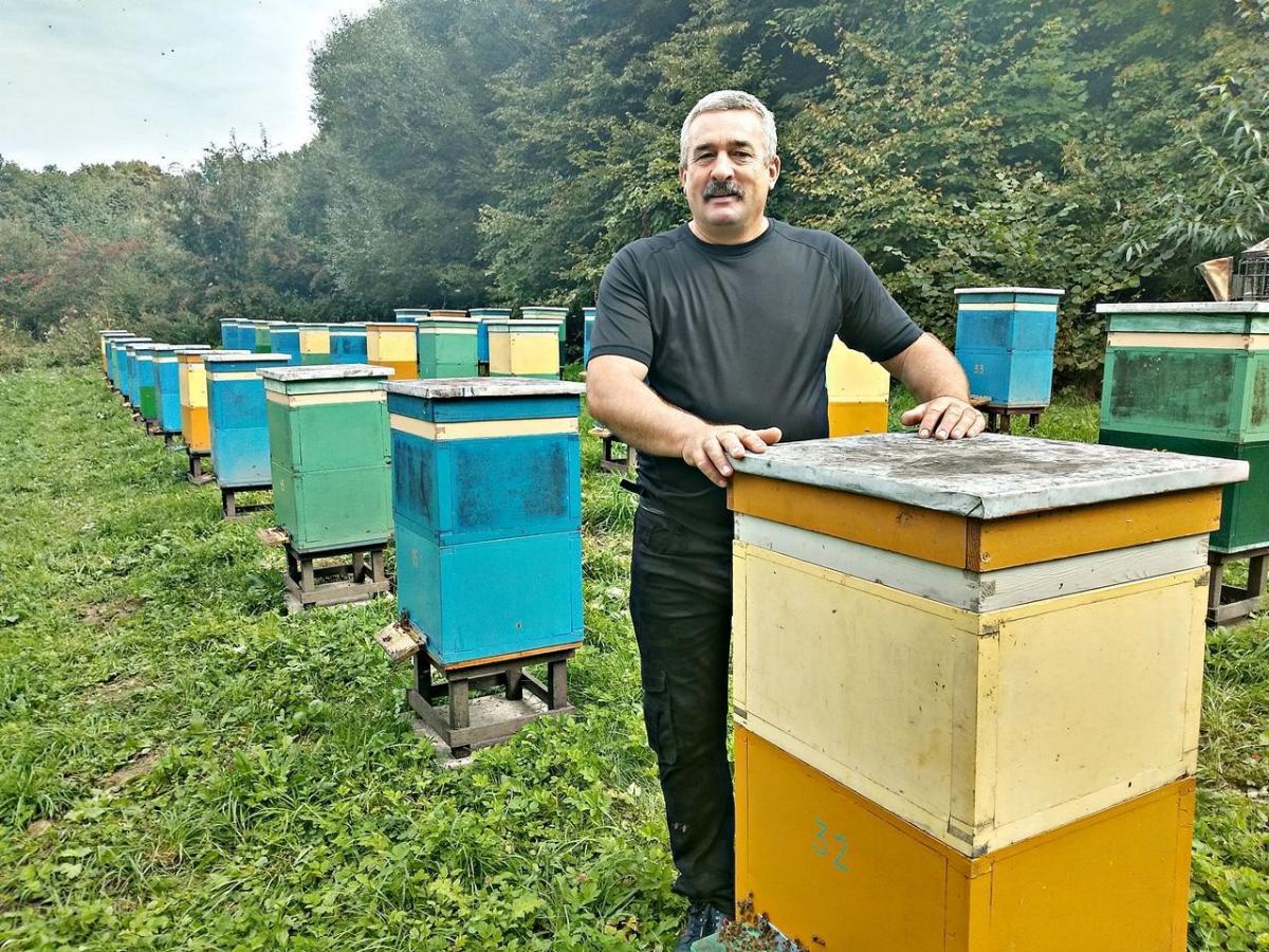 Forteczna pasieka na Salis Soglio