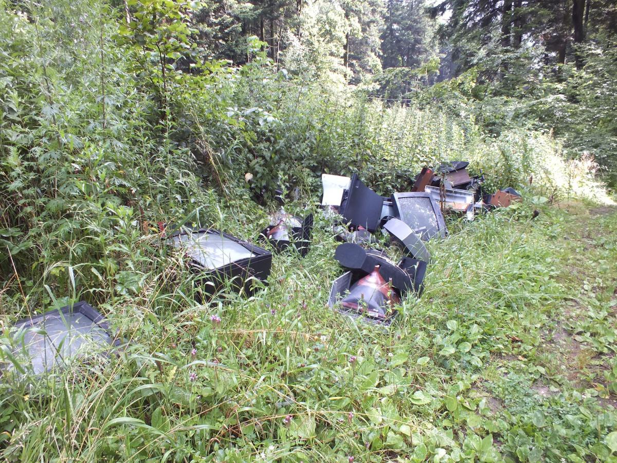 Butelki, papiery, puszki po farbach, a nawet telewizory. Takie rzeczy można znaleźć w lesie