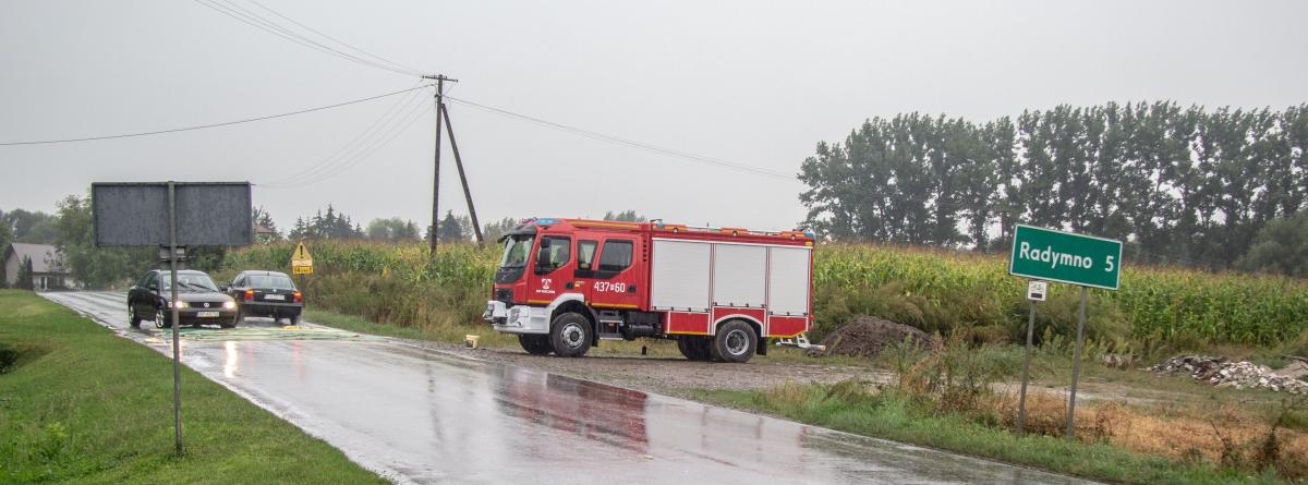 Ognisko ASF w Łazach. Świnie w promieniu 3 kilometrów idą pod nóż
