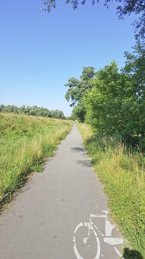Jeszcze chwila i ścieżka zniknie [SYGNAŁY CZYTELNIKÓW]