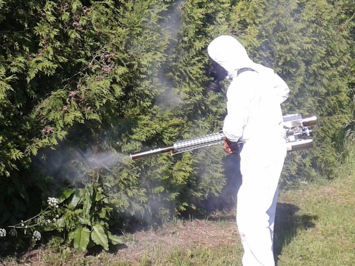 Miasta podjęły rękawicę. Rozpoczynają walkę z plagą komarów