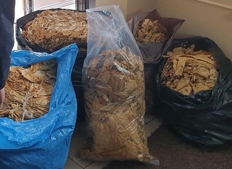 Skonfiskowali 100 kilogramów suszu