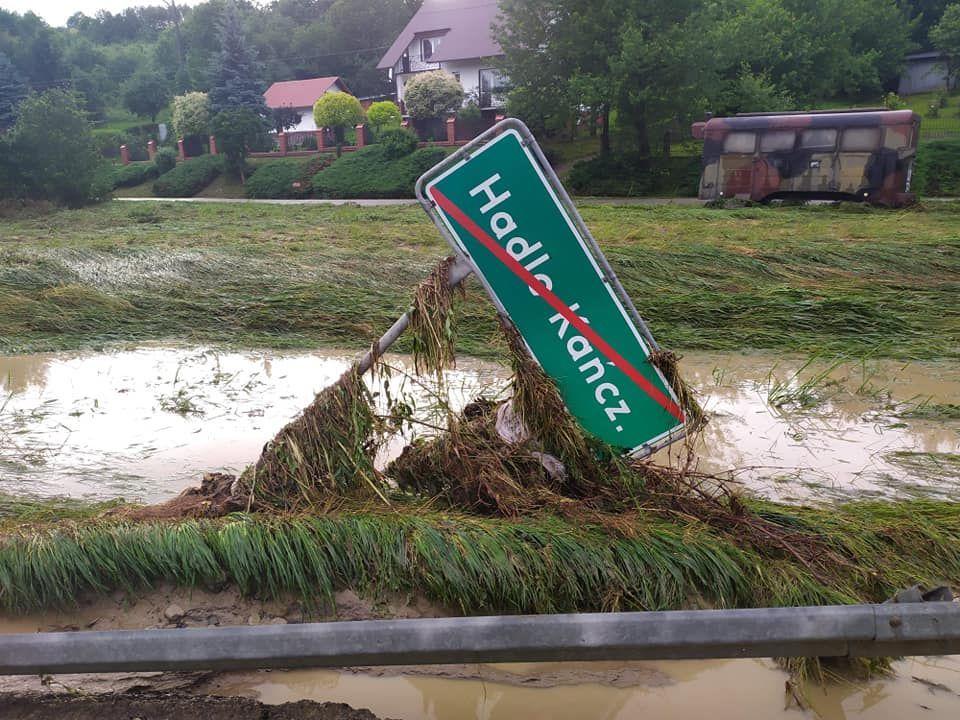 Mleczka spustoszyły gminy Jawornik Polski i Kańczuga, Markówka gminę Gać [ZDJĘCIA]
