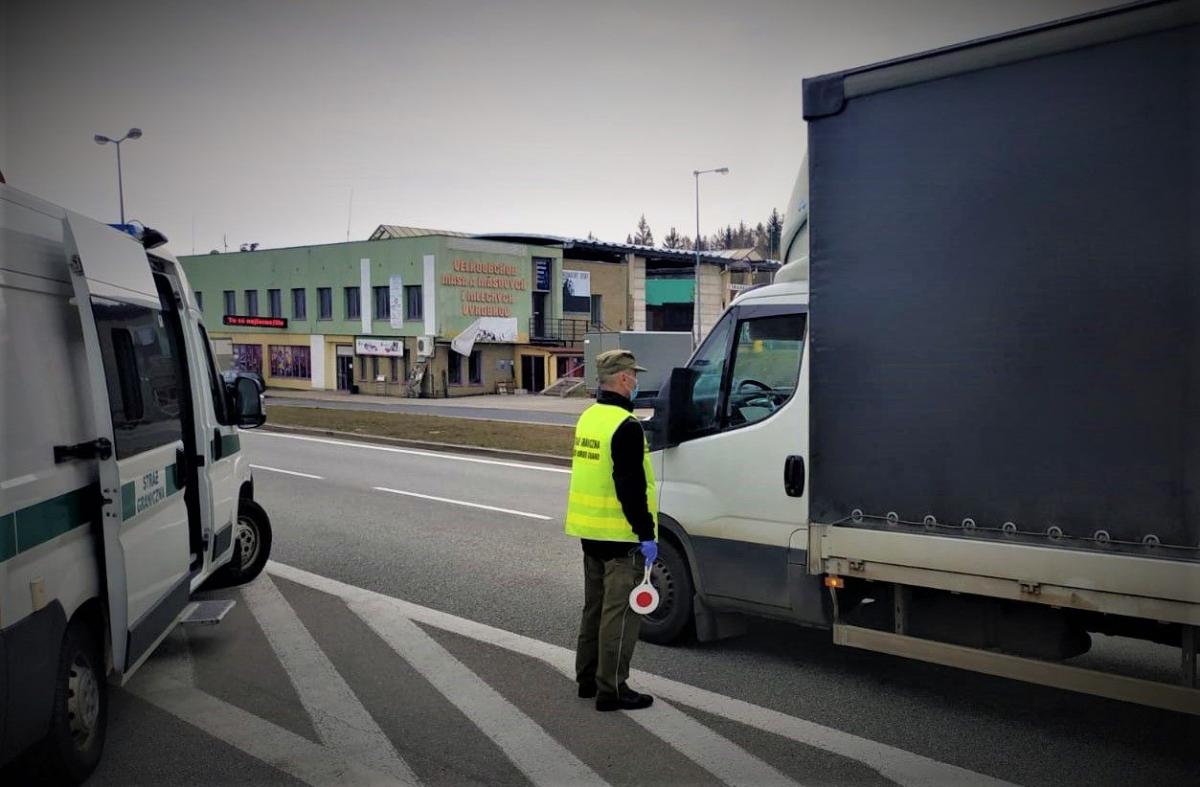 Afgańczycy ukryci pośród arbuzów