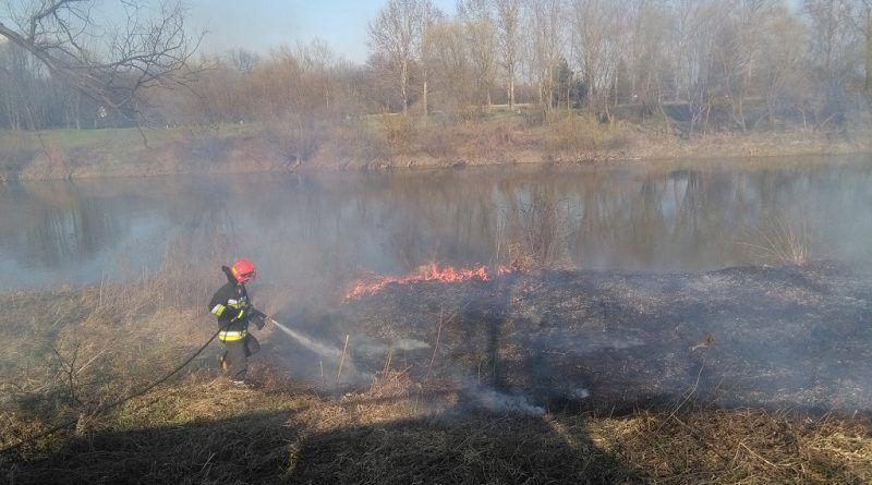 Sytuacja z wypalaniem traw się uspokaja