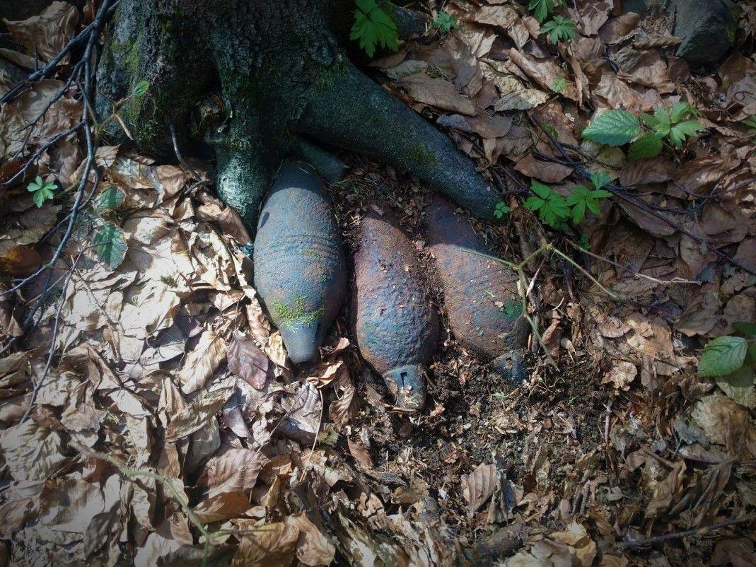 Kilkadziesiąt granatów moździerzowych z II wojny światowej! [ZDJĘCIA]