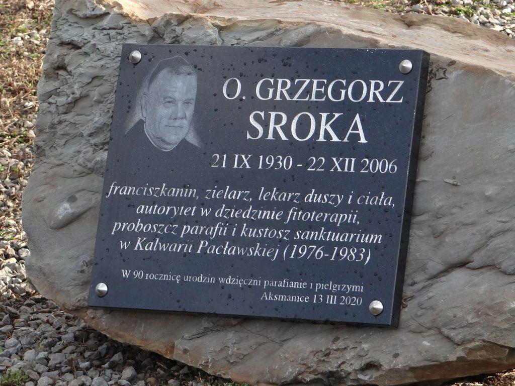 Zielarz zakonnik patronuje rondu