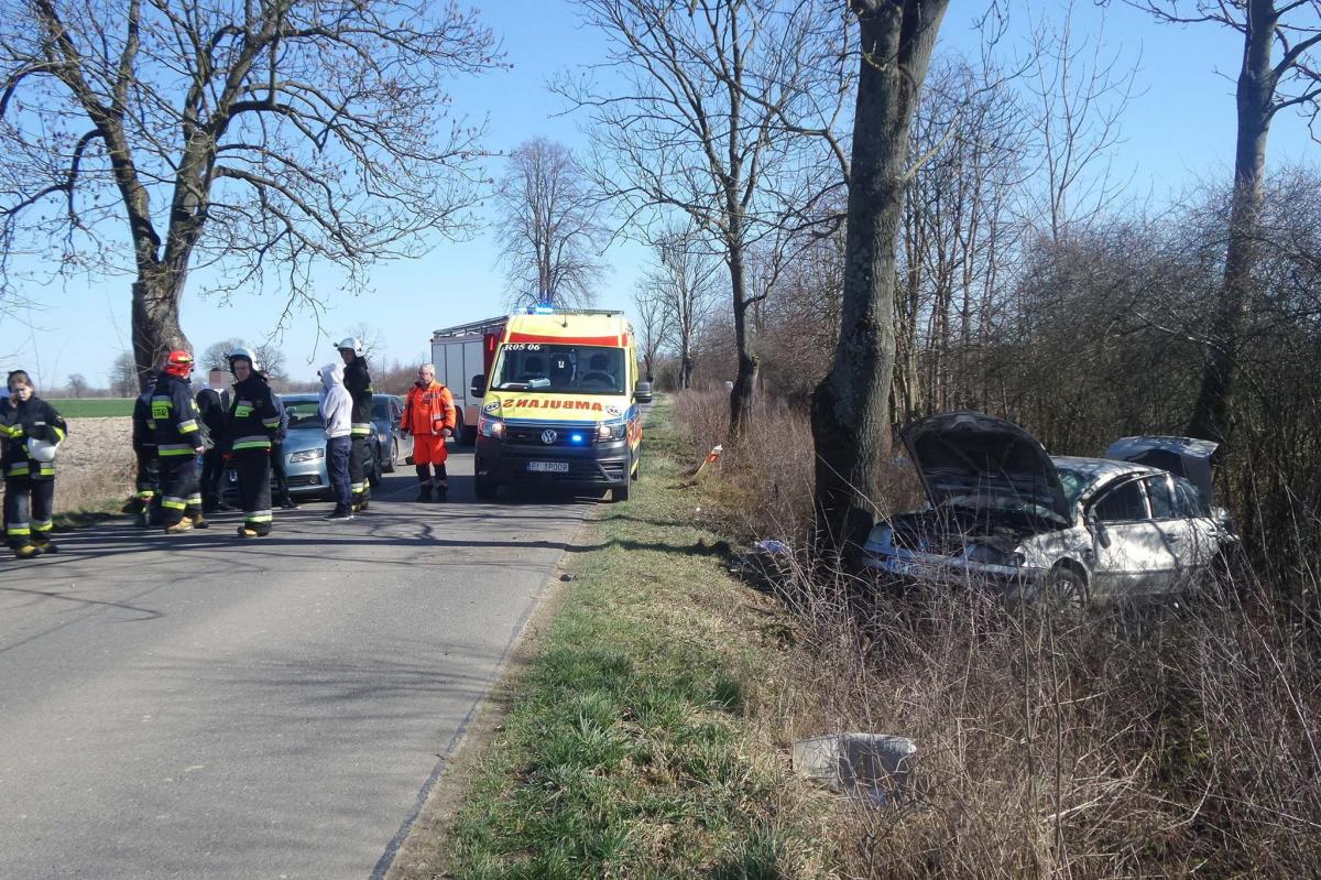 Volkswagen uderzył w drzewo [ZDJĘCIA]
