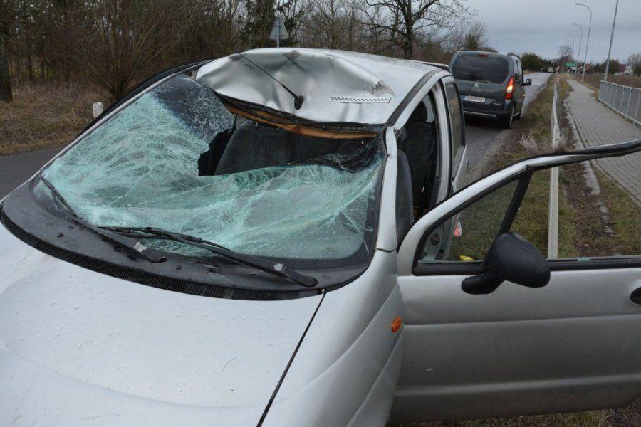 Łoś wbiegł na drogę wprost przed daewoo matiza