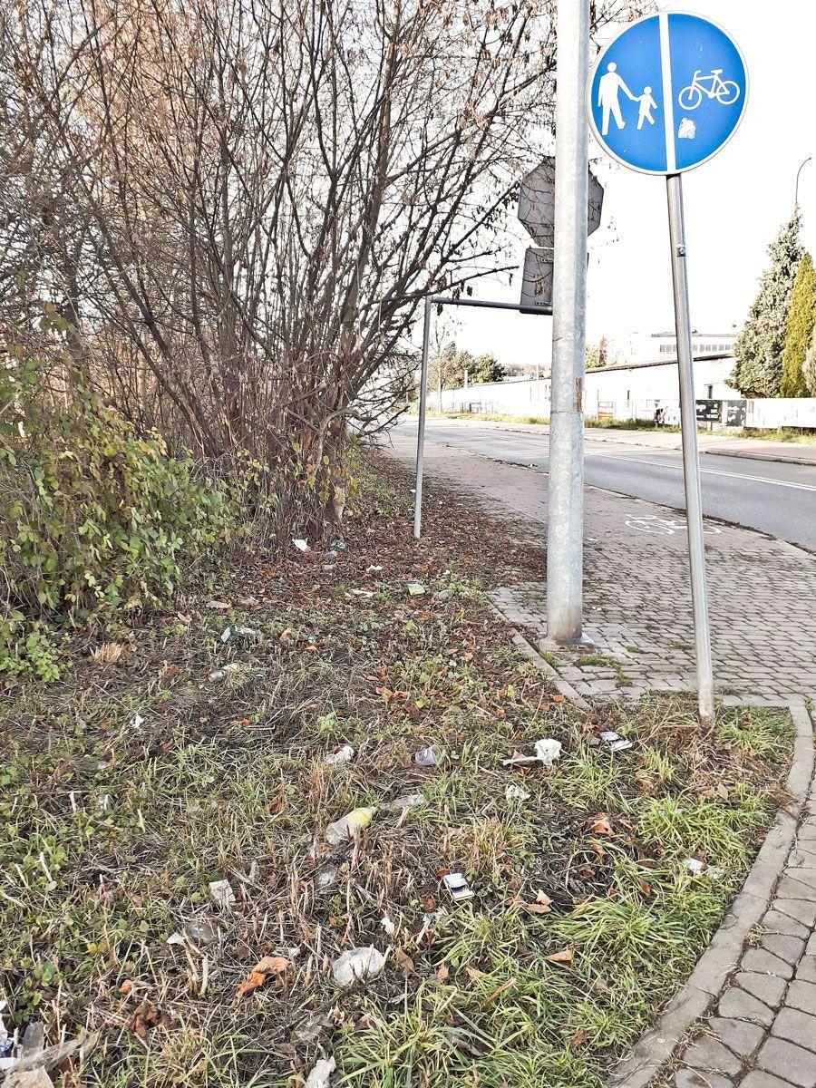 [SYGNAŁY CZYTELNIKÓW] Ulica usłana śmieciami