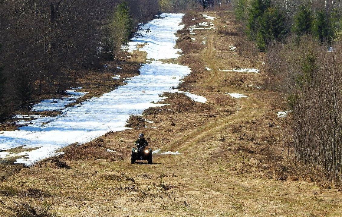 Dwóch obywateli Turcji na „zielonej” granicy
