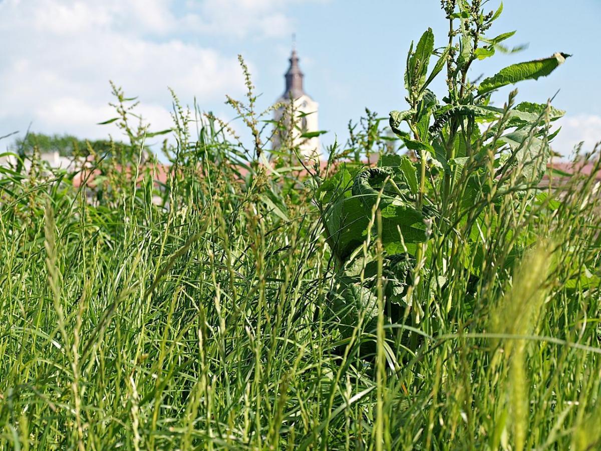 Najbliższe 12 miesięcy zapowiada się intrygująco