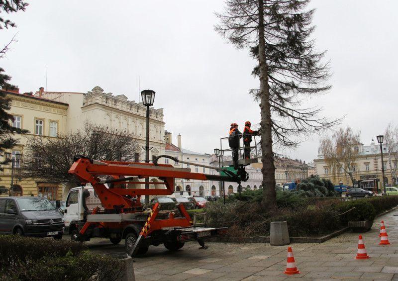 Zielone coś za coś