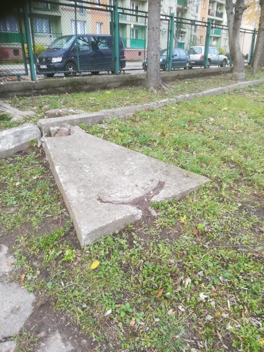 Kotwica niezgody. Jej miejscem jest przystań wodna czy harcerski ośrodek?