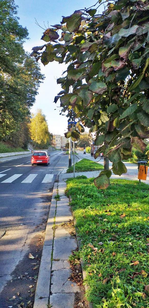 [Sygnały Czytelników:] Niebezpiecznie na przejściu przy ulicy Piłsudskiego