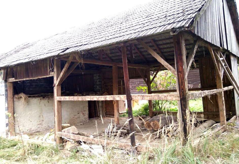 Wiekowe deski na wagę złota?