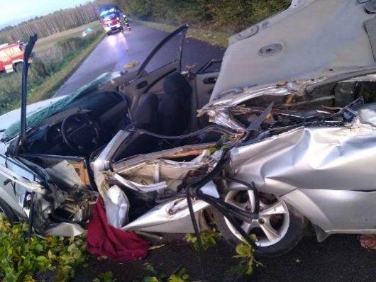 Tragedia na drodze. Drzewo spadło na samochód