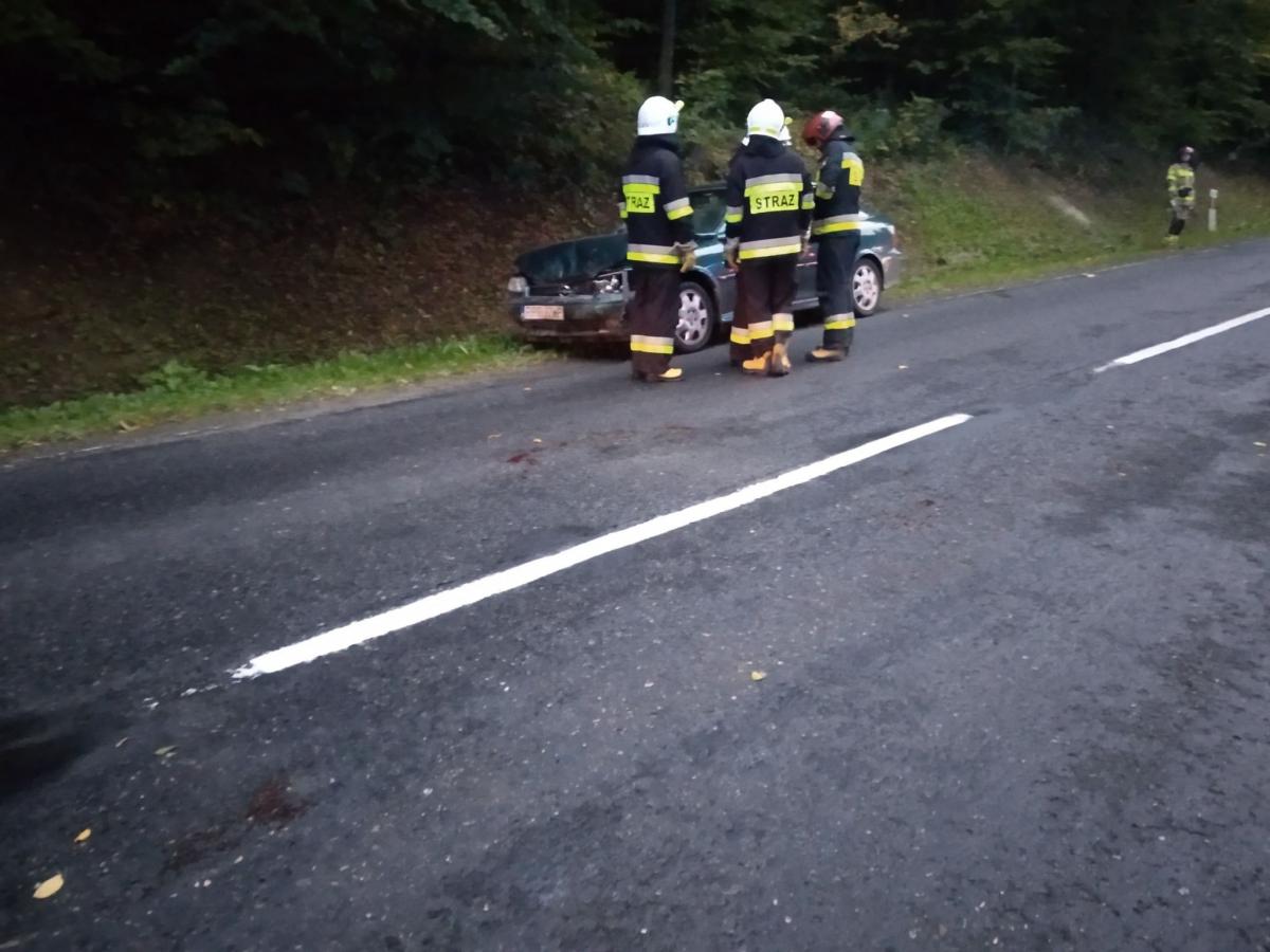 Osobówka i motocykl uderzyły w dzika. Ranny motocyklista [ZDJĘCIA]