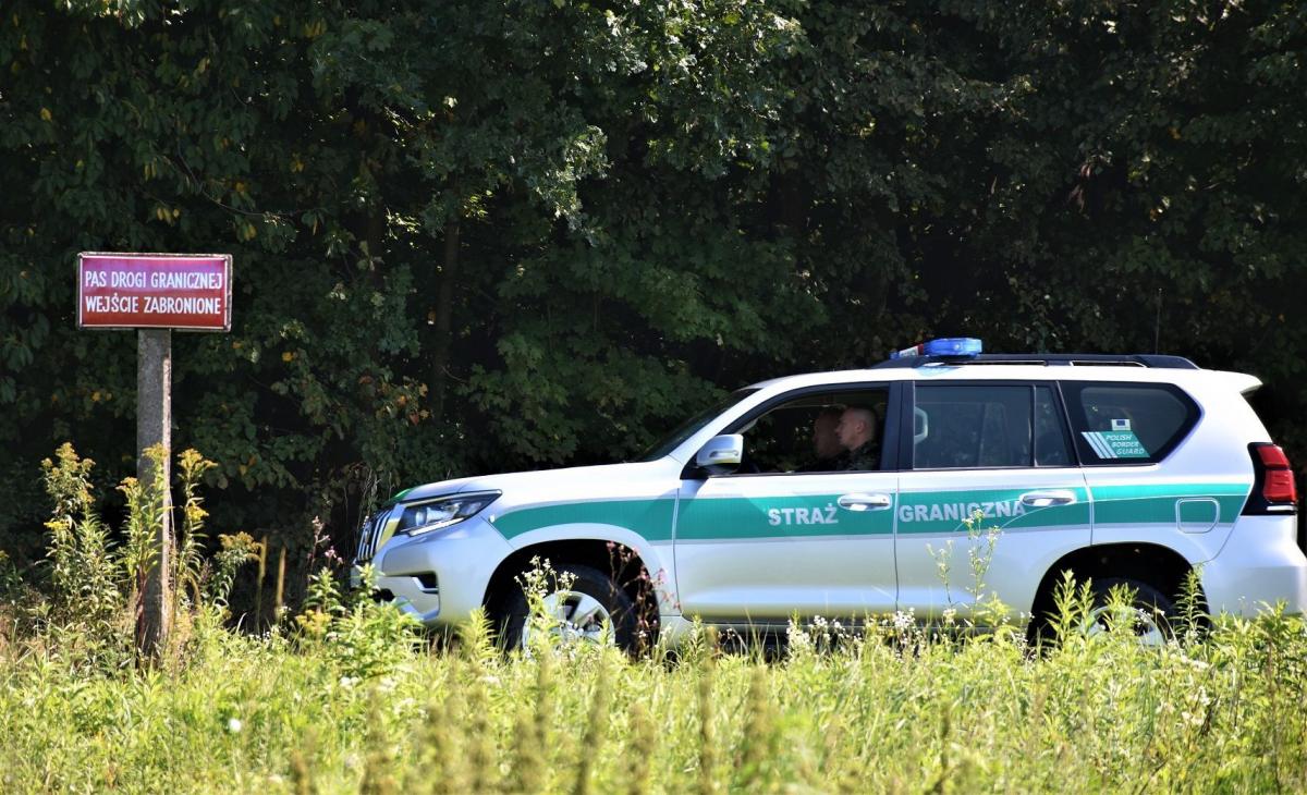 Turcy w kukurydzy. Cudzoziemcy zatrzymani przez pograniczników