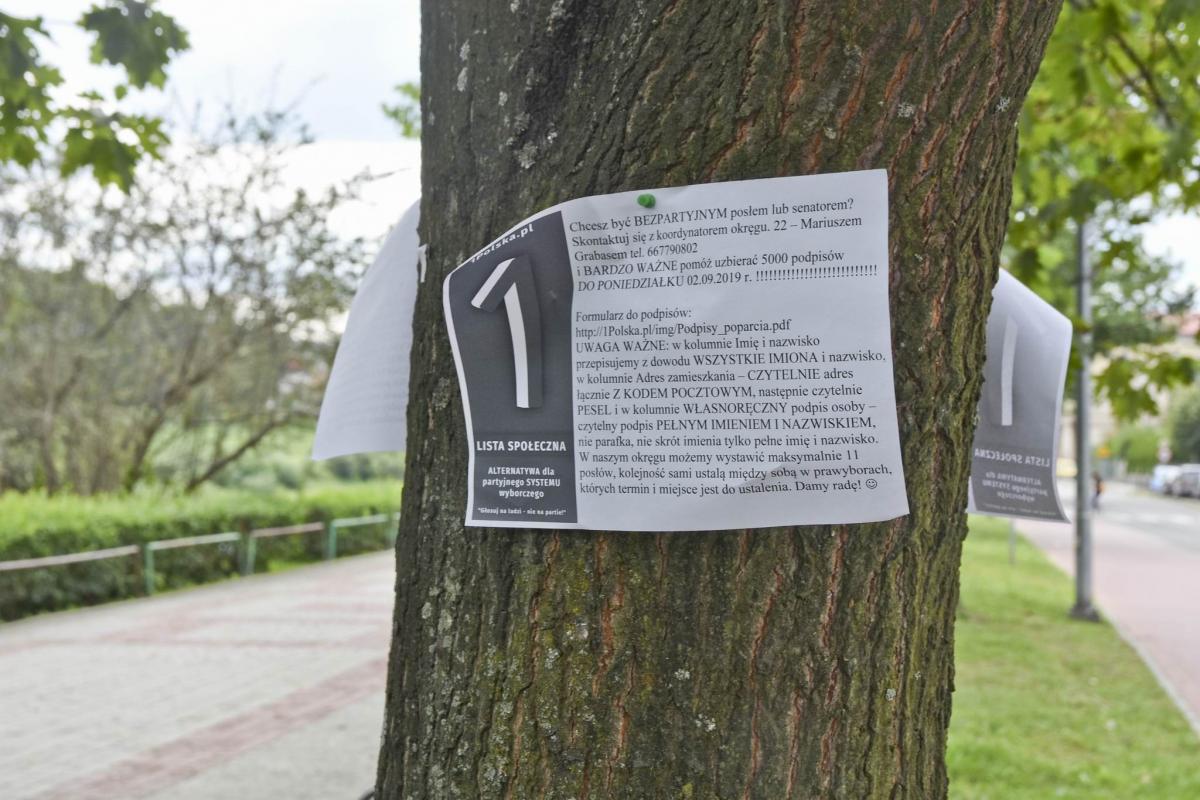 Rozklejają ulotki na drzewach przez „blokadę medialną”
