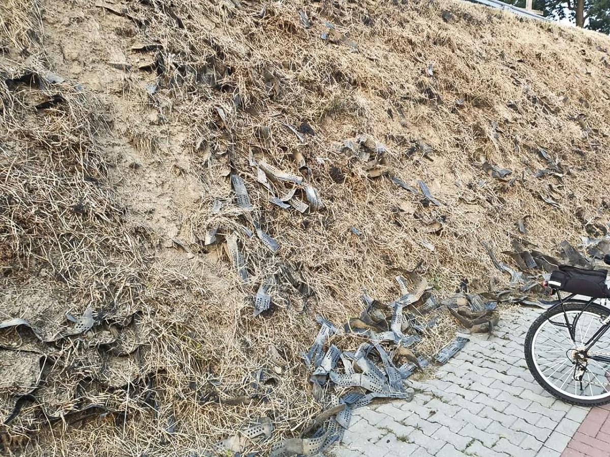 Koszenie czy raczej dewastacja?