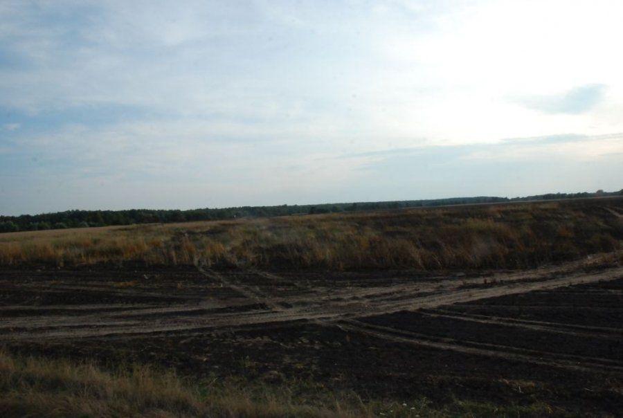 W pożarze spłonęło 40 hektarów pszenicy o wartości 100 tys. zł
