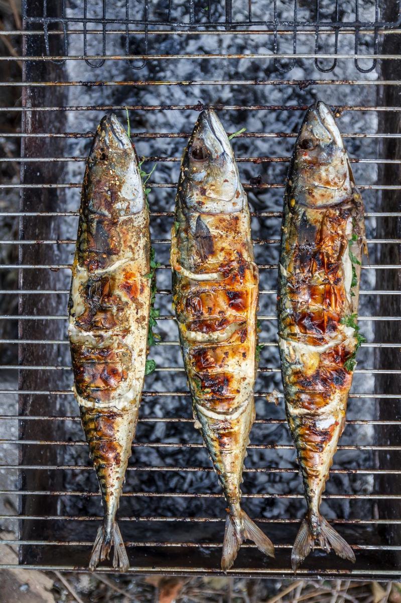 Grillowana makrela
