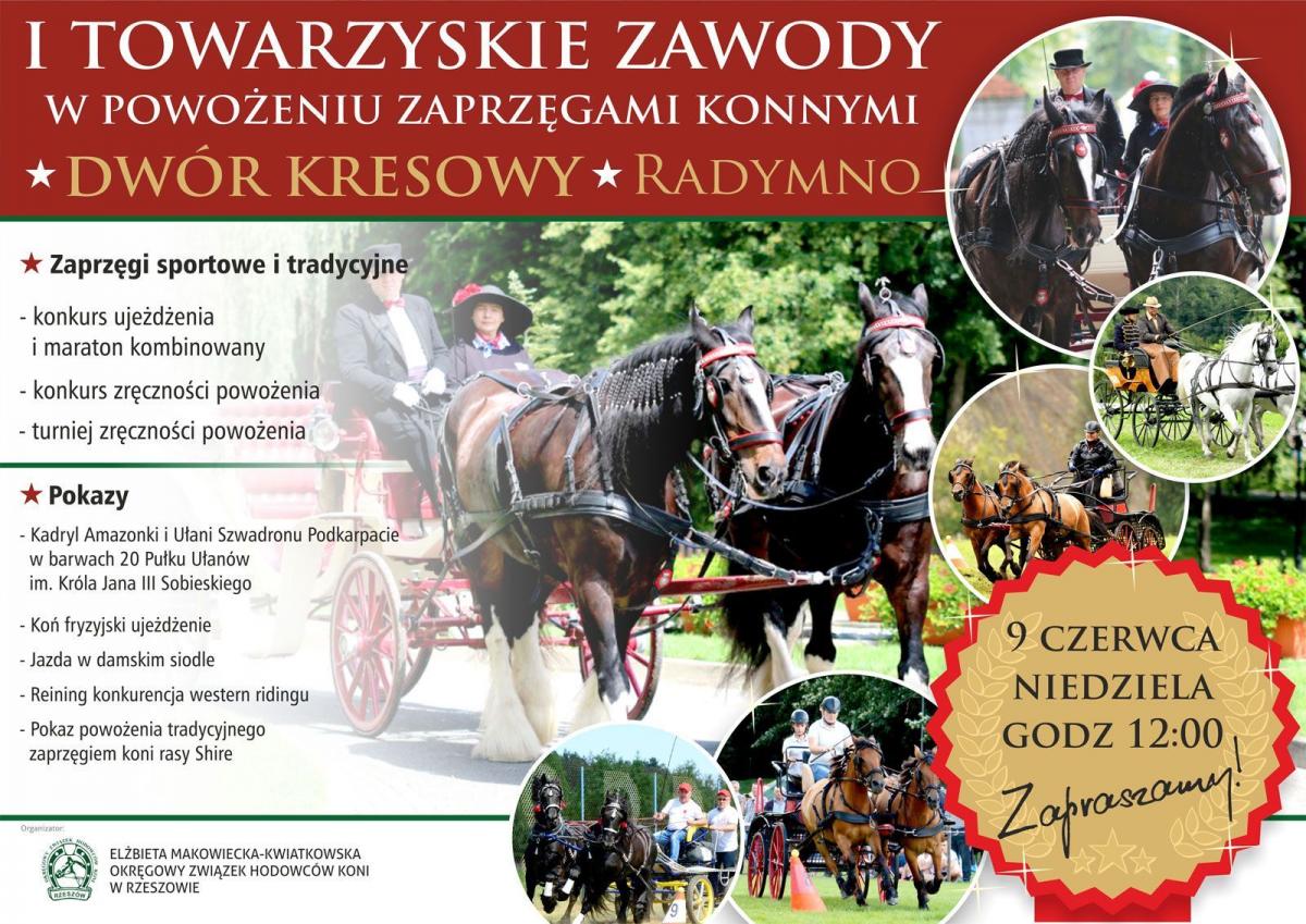 Zawody w powożeniu zaprzęgami 