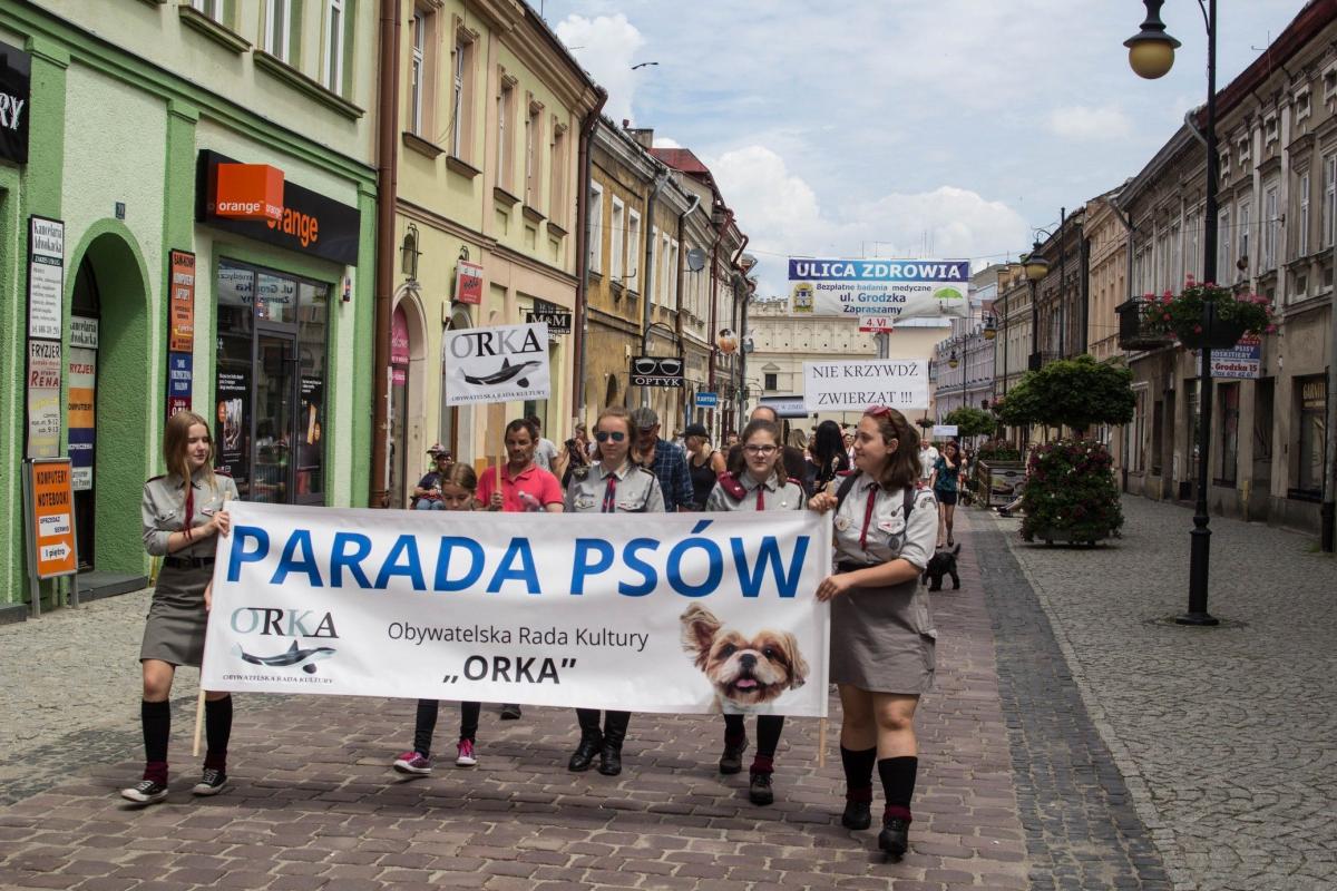Druga parada psów za nami. Czy przyszłoroczna urośnie do rozmiarów ogólnopolskich? [ZDJĘCIA]