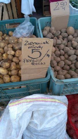 Tydzień pod znakiem pietruszki, czyli ziemniak młody, prawie polski