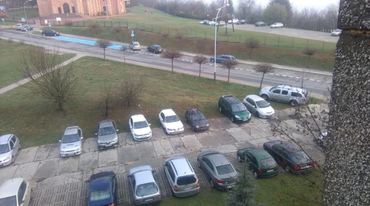 Szkoda osiedlowej zieleni