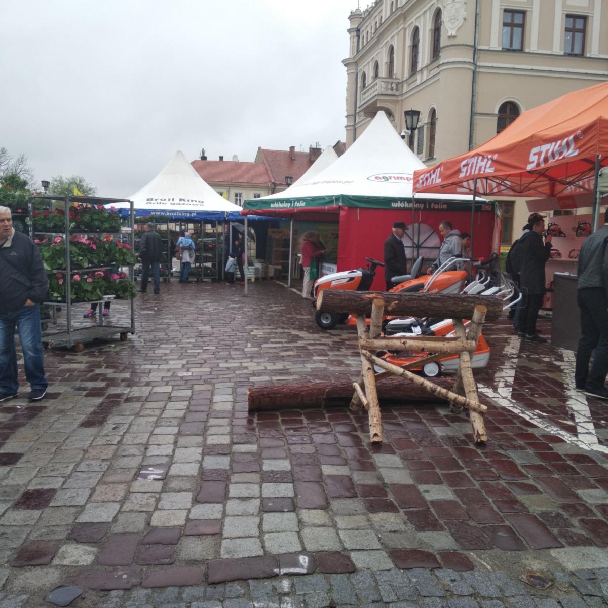 Od ukwieconego Rynku po ukwiecone dzielnice