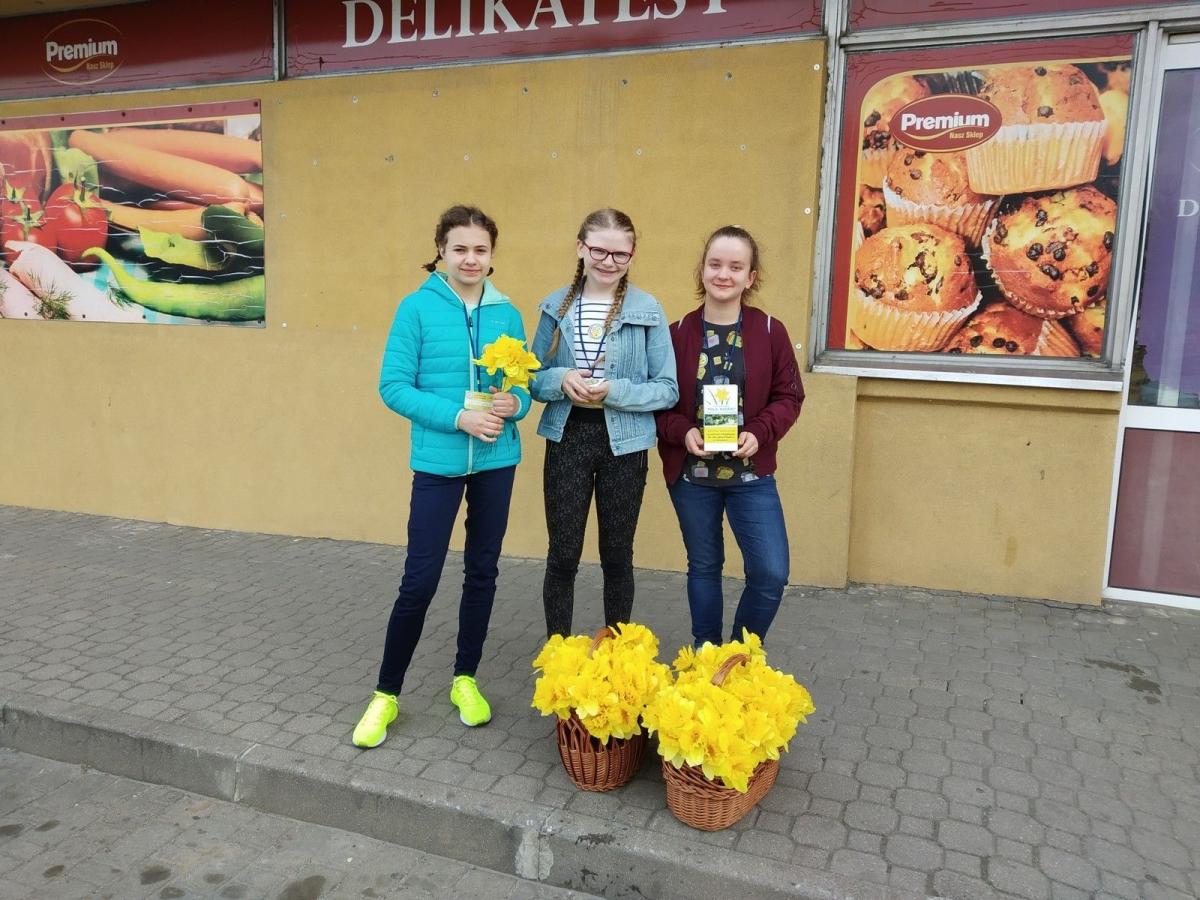 Żonkile symbolem pomocy