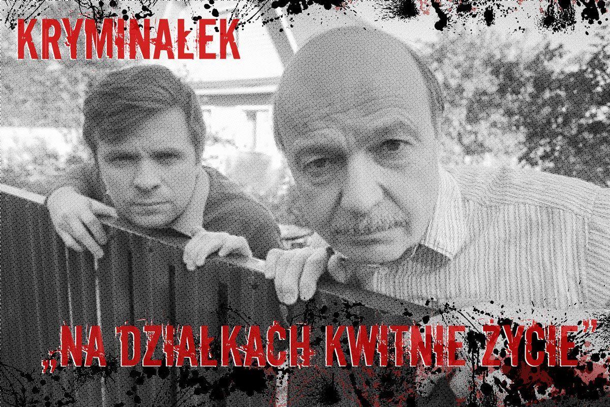 Na działkach kwitnie życie