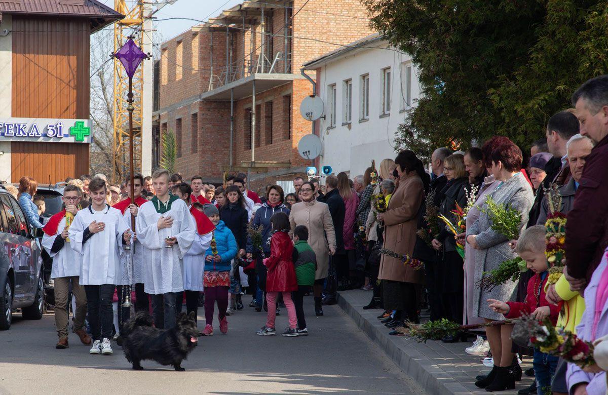 Procesja pod palmami i świąteczne życzenia z Mościsk