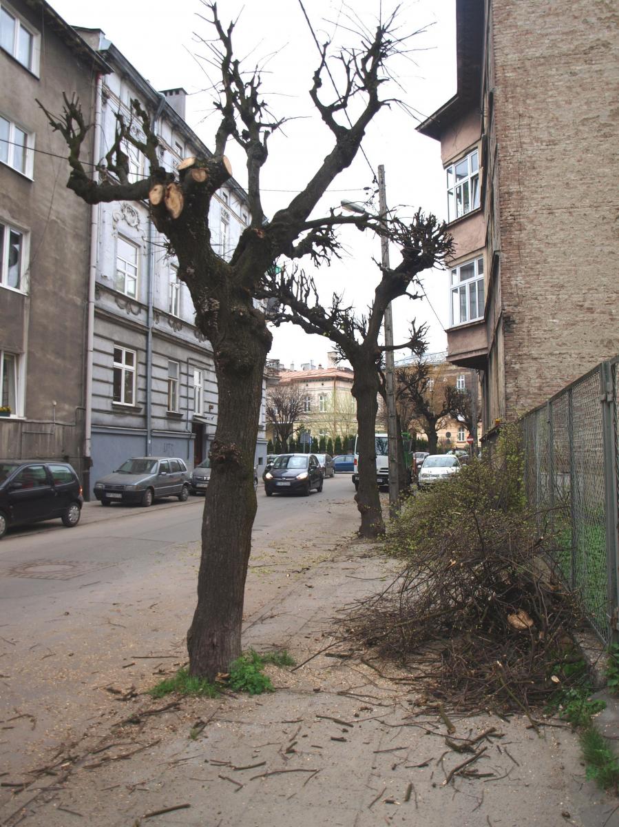 Masakra, a nie pielęgnacja