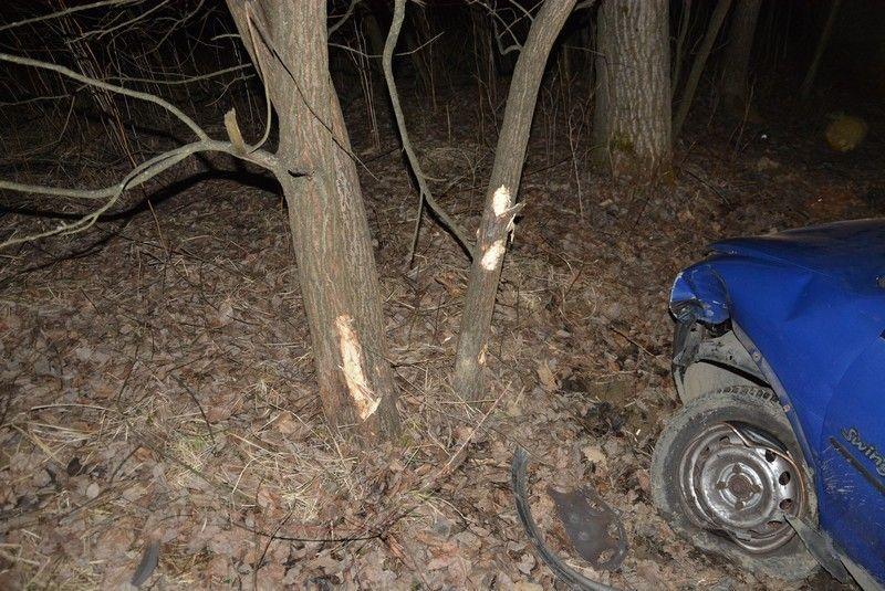Zjechał z drogi i uderzył w drzewo. Miał niemal 3 promile [ZDJĘCIA]