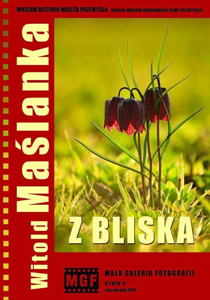 Dziś wystawa pełna koloru, słońca i natury