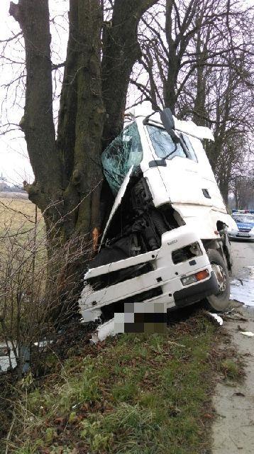 Wpadł do rowu i uderzył w drzewo. Chciał ominąć sarnę