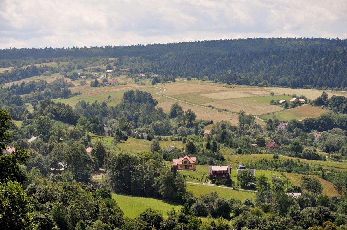 Ekolodzy nie ustępują – chcą utworzenia parku narodowego