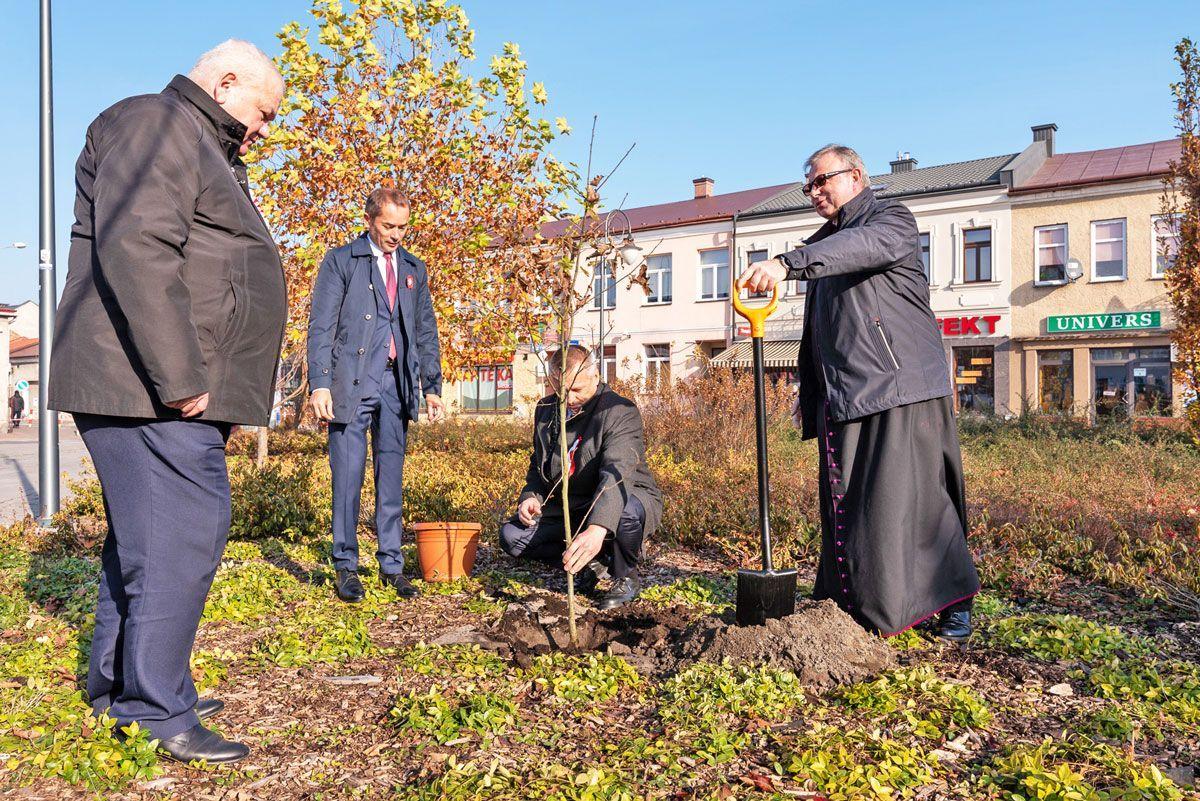 Krzyż Niepodległości, dąb 100-lecia i parada wojskowa [GALERIA]