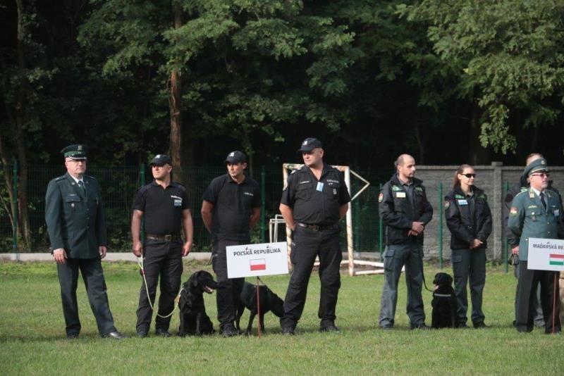 Labradorka Gina ze złotym medalem