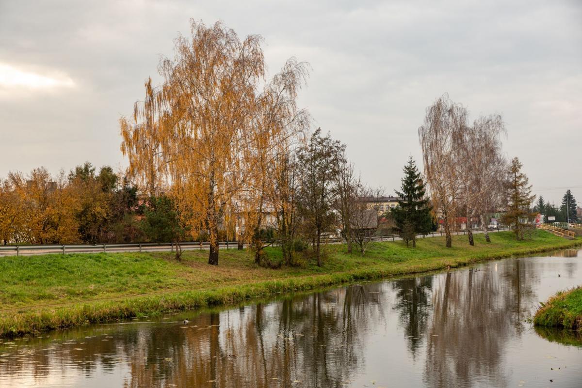 Mieszkańcy wybrali budżet