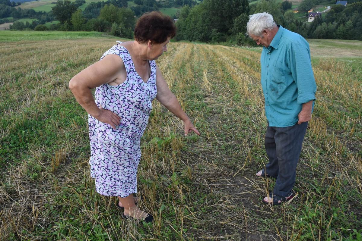 Szkoda jest, odszkodowania nie będzie