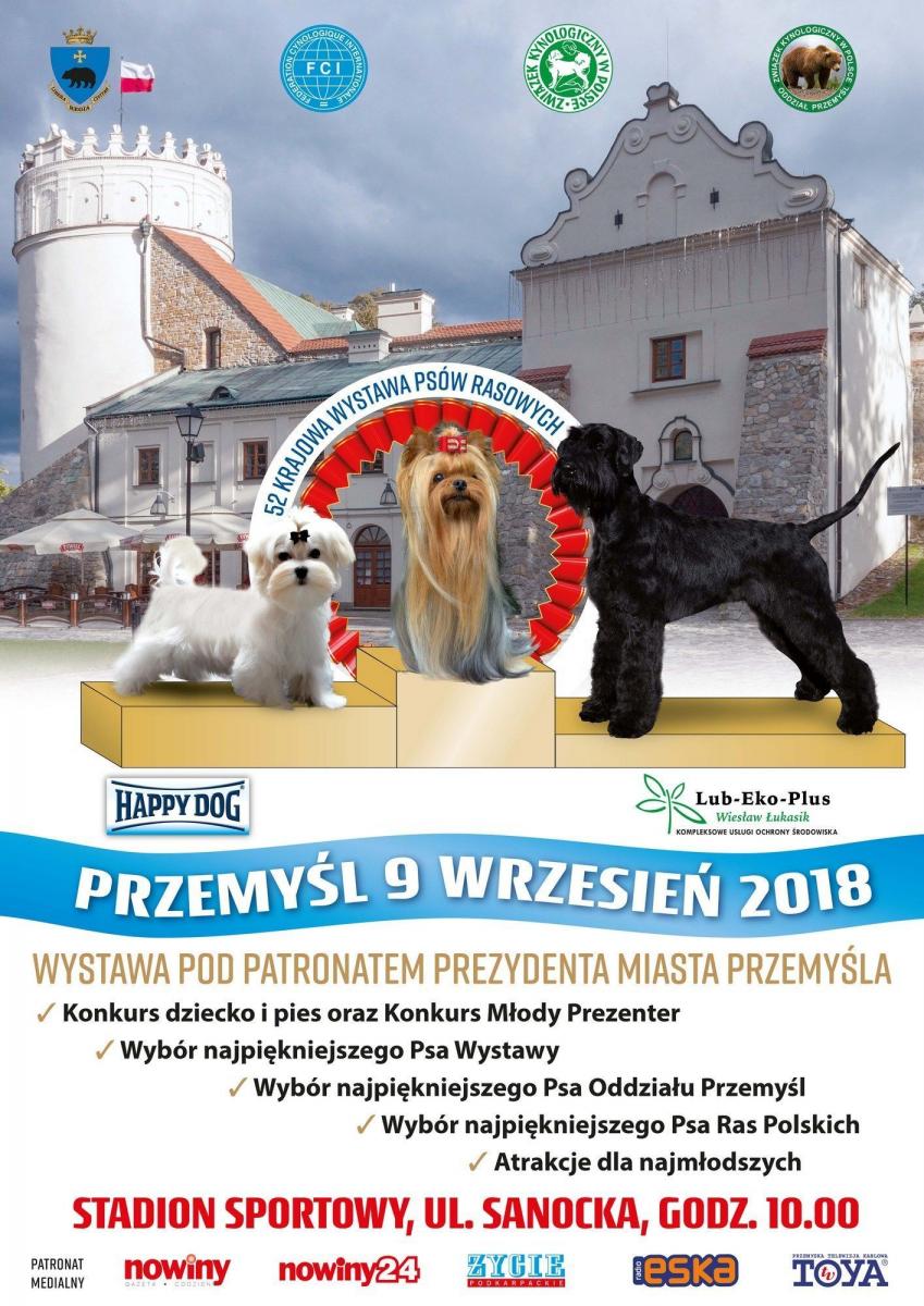 Wystawa psich piękności w Przemyślu. WYGRAJ bilet
